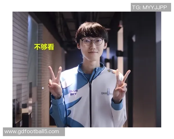 369上单独特风格解析与职业赛场影响力全面解读