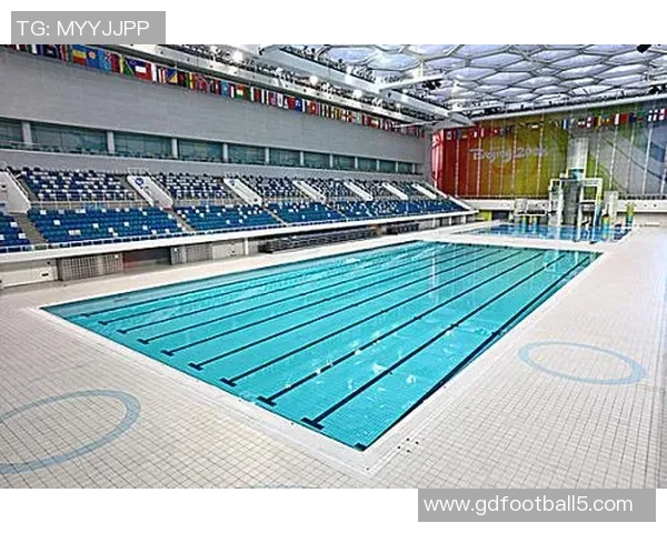 聚焦跳水运动发展趋势与奥运竞技魅力的全景深度权威解析专题报告